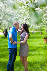 Fototapeta premium Young Couple in love in the spring blossoming apple orchard