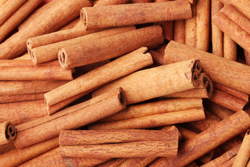 Cinnamon sticks closeup