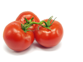 fresh tomatoes