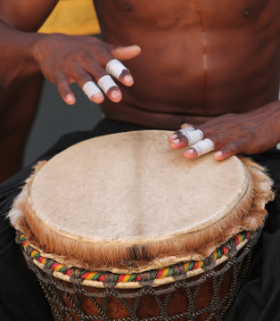 Bongo Drums