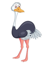 Ostrich cartoon