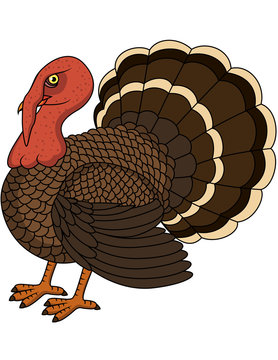 recommend clip art: Turkey cartoon
