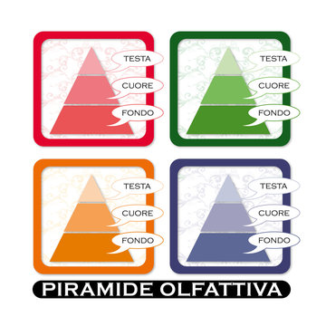 piramide olfattiva
