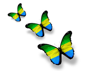 Three Gabonese flag butterflies, isolated on white