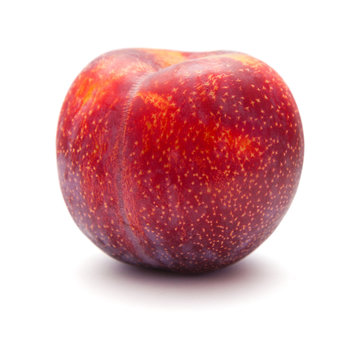 large red plum isolated on white background