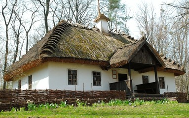 an old country house among the trees