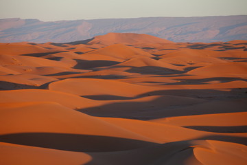 Fototapeta na wymiar View acros sand dunes in the Sahara desert, Morocco, Africa