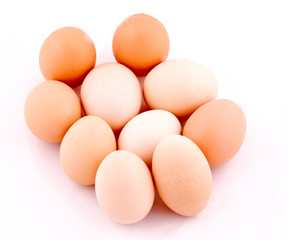 Domestic eggs