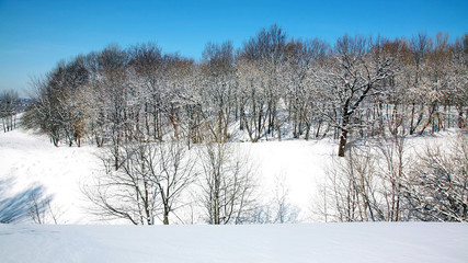 April blue sky in beautiful park