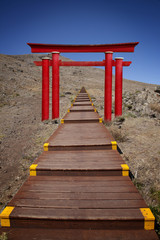 Torii