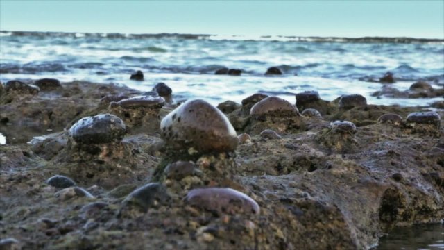 Rocks by ocean