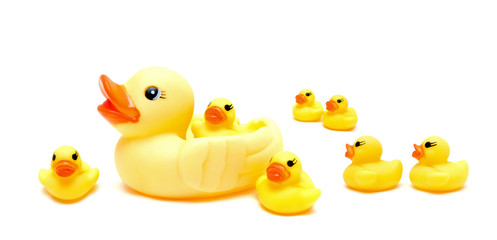 Group a yellow rubber ducks