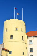 President castle in Riga, Latvia - obrazy, fototapety, plakaty