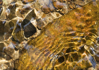 Golden brook
