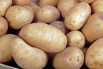 young potatoes