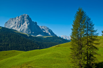 Fototapeta na wymiar Dolomiti - Val Gardena