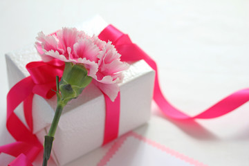 母の日のカーネーション © nana77777