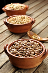 legumes