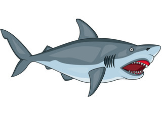 Angry shark