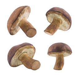 Mushrooms with clipping path