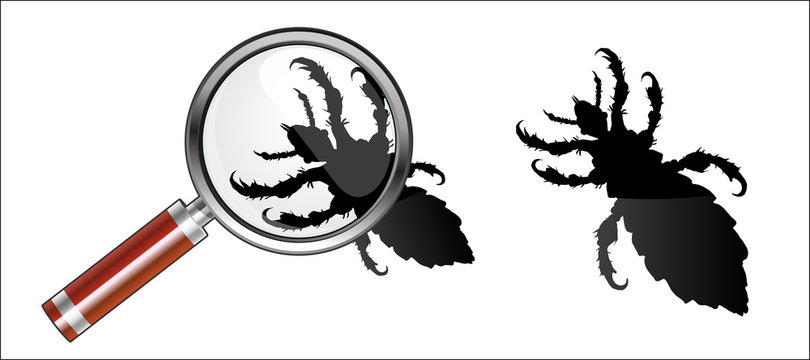 poux interdits, interdiction