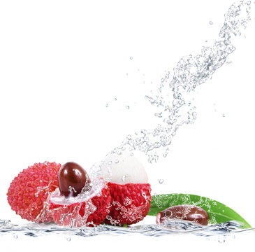 lycis splash