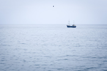Fototapeta premium ship in the ocean