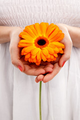 Woman holding an orange gerbera