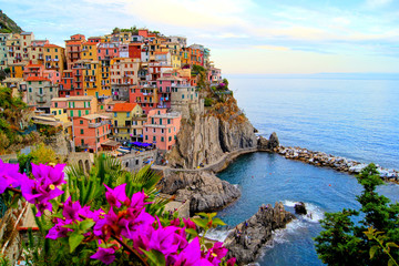 Côte des Cinque Terre d& 39 Italie avec des fleurs