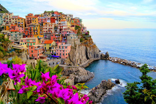 Fototapeta Wybrzeże Cinque Terre we Włoszech z kwiatami