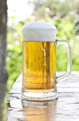 Beer mug