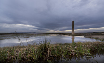 Campos de arroz en la Albufera (Valencia)