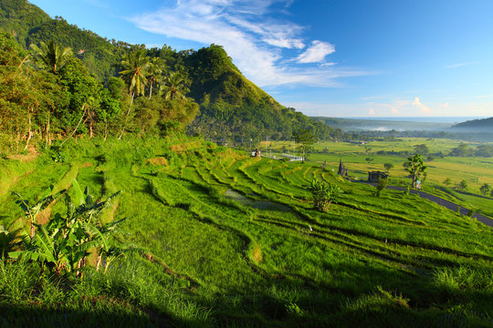Valley
