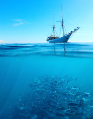 Fish in a sea and sail boat