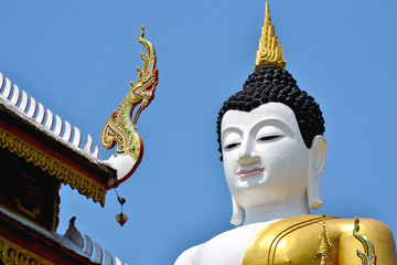 Obraz premium The Buddha Image Of Northern Thailand