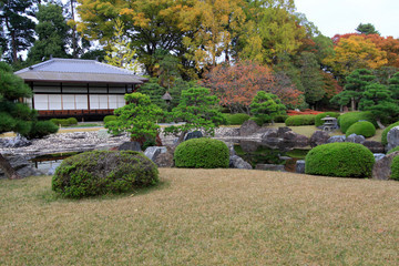 Nijo castle in colorful leaf and tree in japan : Kouyou