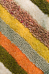 colorful striped rows of dry grains