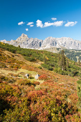 Herbst in den Alpen