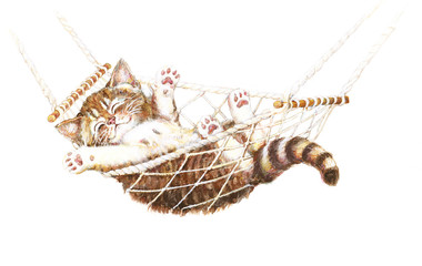 niedliches K&auml;tzchen in H&auml;ngematte