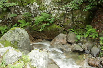 Ruisseau de la Casteillane,Pyrénées orientales