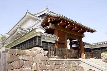 Naklejka premium Shoryuji Castle