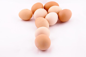 Eggs isolated