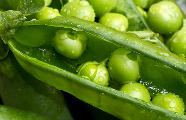 baccello con piselli