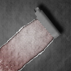 torn paper background