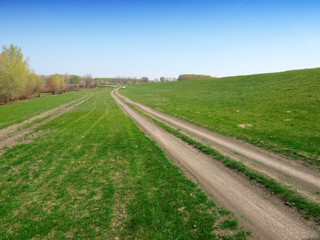 Fototapeta na wymiar Meadow with dirt road and blue sky. Summer landscape