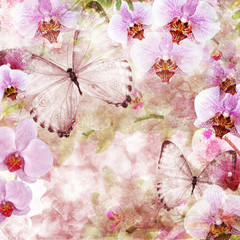 Butterflies and orchids flowers pink background ( 1 of set)