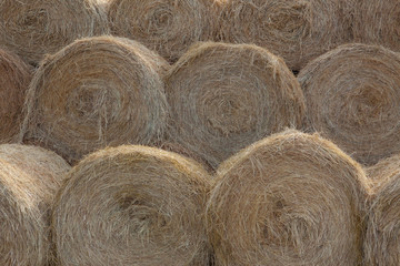 Bales of Hay