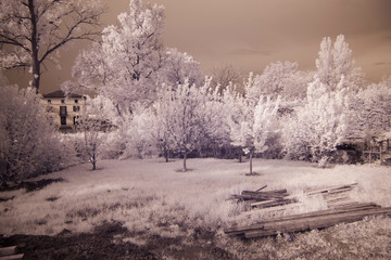 paesaggio infrared