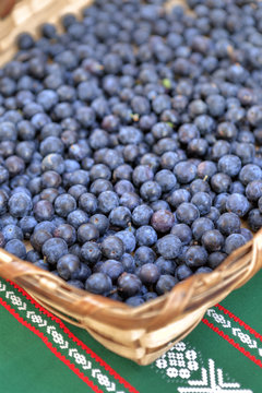 sloes basket (Prunus spinossa)