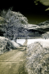 castello infrared © marcodeepsub